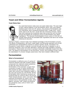 Yeast and Other Fermentation Agents Fermentation