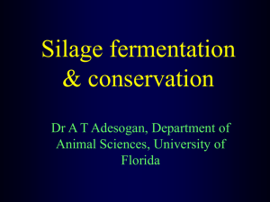 20. Silage Fermentation and Conservation