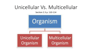 Unicellular Vs. Multicellular