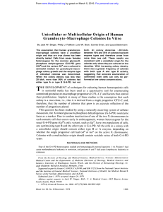 Unicellular or Multicellular Origin of Human Granulocyte