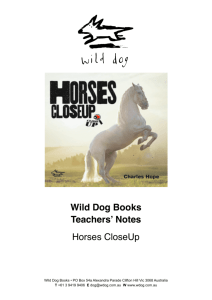 Horses CloseUp TN.pages