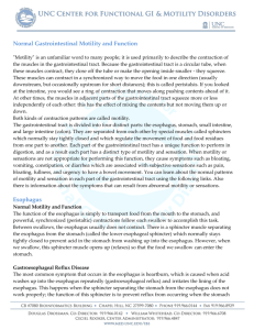 Normal Gastrointestinal Motility and Function