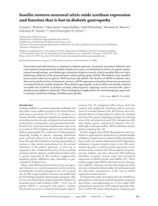 Insulin restores neuronal nitric oxide synthase expression and