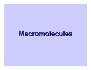 Macromolecules - Citrus College