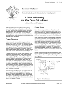 A Guide to Flowering and Why Plants Fail to Bloom