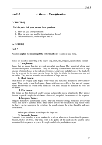 Unit 5 A Bone - Classification 1. Warm-up