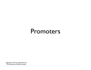 2 Promoters & Enhancers Epicourse 2014