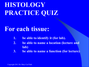 HISTOLOGY PRACTICE QUIZ For each tissue: