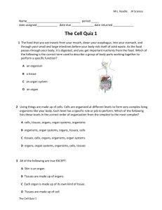 The Cell Quiz 1