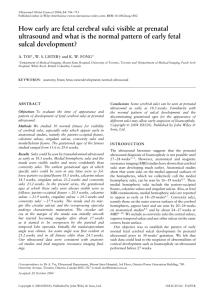 How early are fetal cerebral sulci visible at prenatal ultrasound and