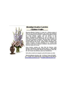 Blooming Meadow Gardens Gladiolus Bulb Catalog