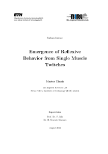 Emergence of Reflexive Behavior from Single Muscle Twitches