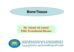 Bone Tissue Dr Amam