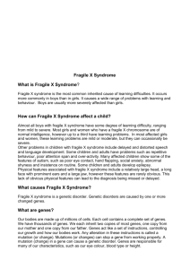 Fragile X Syndrome What is Fragile X Syndrome?