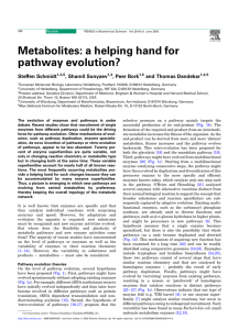 Metabolites: a helping hand for pathway evolution?