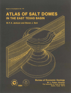 Report of Investigations No. 140 - Atlas of Salt Domes in the East