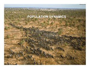 POPULATION DYNAMICS