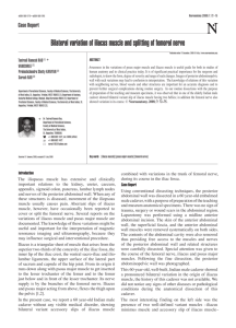 Bilateral variation of iliacus muscle and splitting of