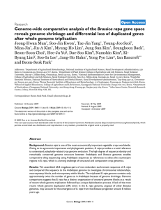 Genome-wide comparative analysis of the Brassica rapa gene