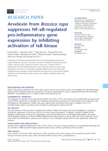 Arvelexin from Brassica rapa suppresses NFBregulated