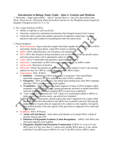 Introduction to Biology Study Guide – Quiz 2: Genetics and Medicine