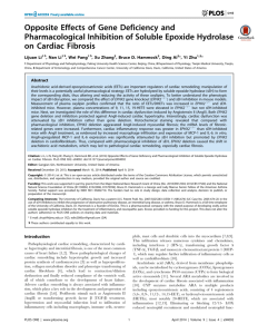 Opposite Effects of Gene Deficiency and Pharmacological Inhibition