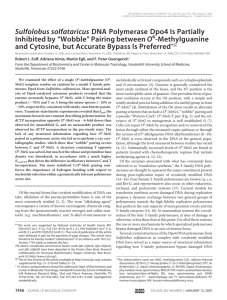 Sulfolobus solfataricus DNA Polymerase Dpo4 Is Partially Inhibited by