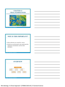 chapter 13 viral pathogenesis