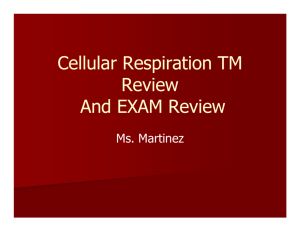 Cellular Respiration TM Review And EXAM Review