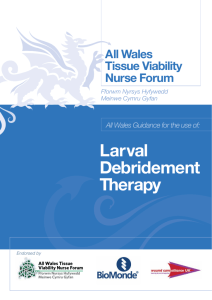 Larval Debridement Therapy