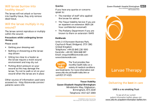 Larvae therapy - University Hospitals Birmingham NHS Foundation