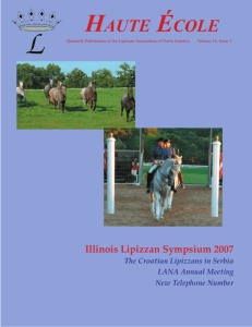 Volume 16, Issue 1 -- Fall 2007 - Lipizzan Association of North