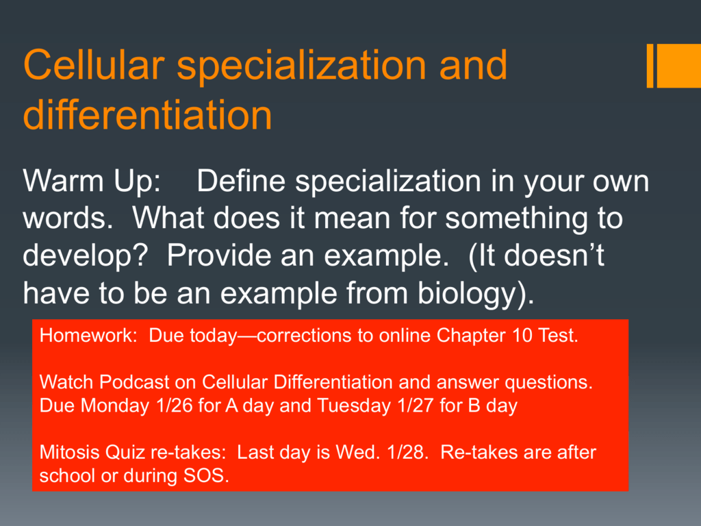 cellular-differentiation-anatomy-physiology-i