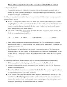 Mitosis Study Guide