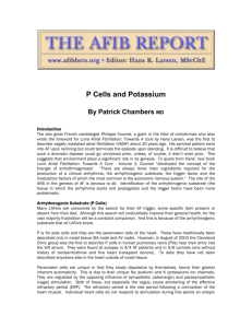 P Cells and Potassium