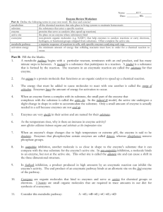 Enzyme Review Worksheet