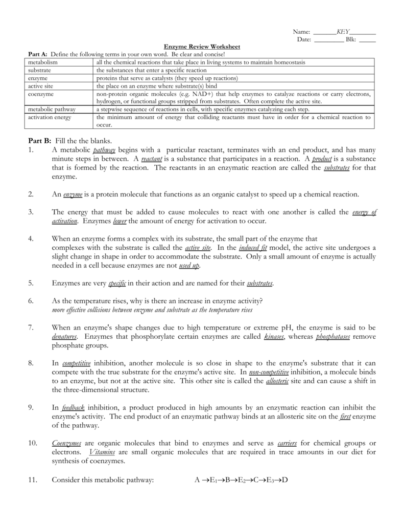 Enzyme Review Worksheet With Regard To Enzyme Review Worksheet Answers