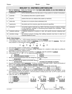 enzym worksheet key