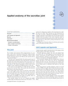 Applied anatomy of the sacroiliac joint