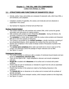 Chapter 2 – THE CELL AND ITS COMPONENTS (Taken from
