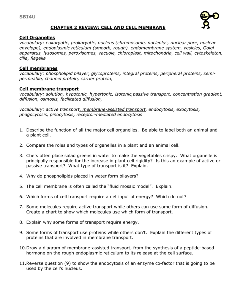 Chapter 2 Review Cell And Cell Membrane