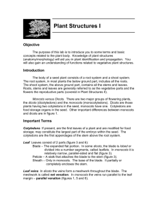 Labmanual Plant Structures I