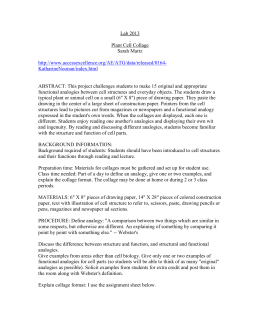 Plant cell essay