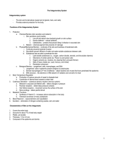 Integumentary System Outline (doc file)