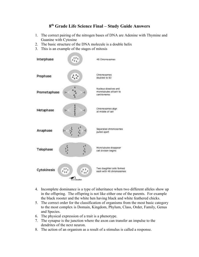 8th Grade Life Science Final Study Guide Answers