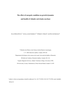 The effect of energetic condition on growth dynamics