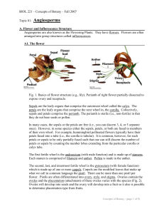 BIOL 221 – Concepts of Botany – Fall 2007