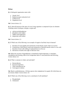 AIPMT Preliminary Sample Paper 1