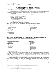 Chlorophyta Homework - Home Page for Ross Koning