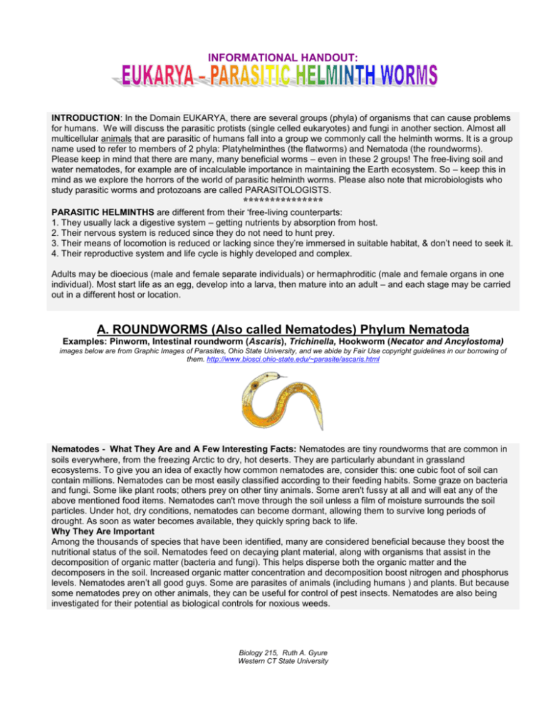 EUKARYA WORMS Western Connecticut State University